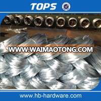 Galvanized Iron Wire / Black Iron Wire / Pvc Coated Wire